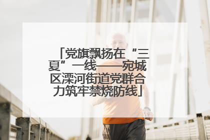 党旗飘扬在“三夏”一线——宛城区溧河街道党群合力筑牢禁烧防线
