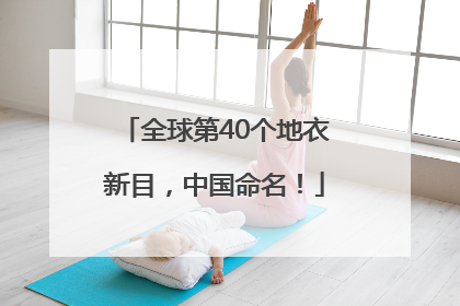 全球第40个地衣新目，中国命名！