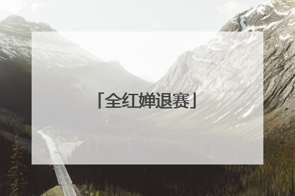 全红婵退赛