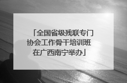 全国省级残联专门协会工作骨干培训班在广西南宁举办