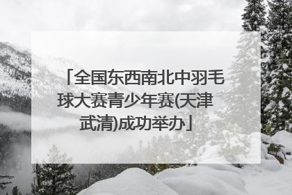 全国东西南北中羽毛球大赛青少年赛(天津武清)成功举办