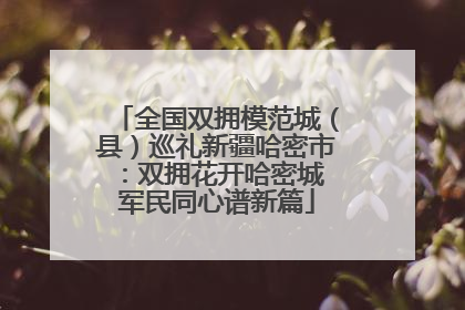全国双拥模范城（县）巡礼新疆哈密市：双拥花开哈密城 军民同心谱新篇