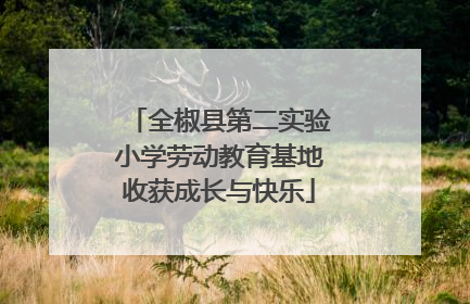 全椒县第二实验小学劳动教育基地收获成长与快乐