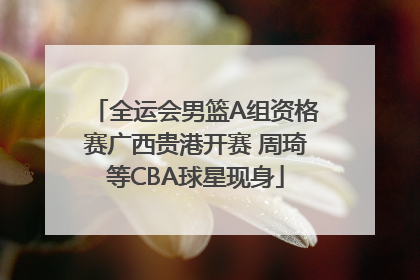 全运会男篮A组资格赛广西贵港开赛 周琦等CBA球星现身