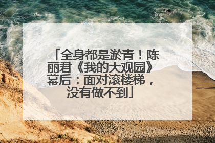 全身都是淤青！陈丽君《我的大观园》幕后：面对滚楼梯，没有做不到