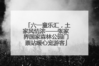 六一童乐汇，土家风情浓——张家界国家森林公园门票站暖心宠游客