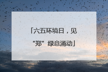 六五环境日，见“郑”绿意涌动