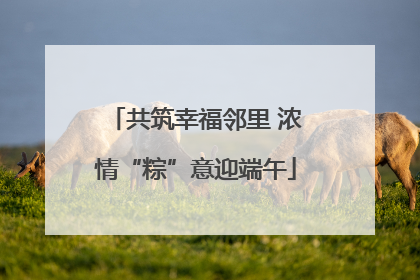 共筑幸福邻里 浓情“粽”意迎端午