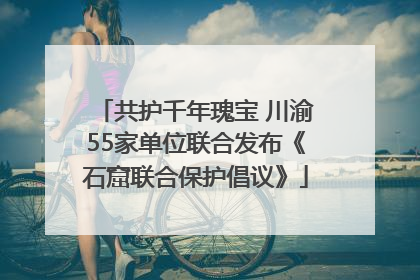共护千年瑰宝 川渝55家单位联合发布《石窟联合保护倡议》