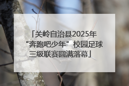 关岭自治县2025年“奔跑吧少年”校园足球三级联赛圆满落幕