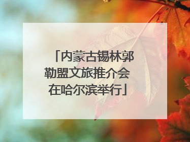 内蒙古锡林郭勒盟文旅推介会在哈尔滨举行