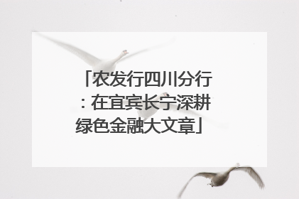 农发行四川分行：在宜宾长宁深耕绿色金融大文章