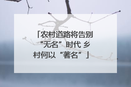 农村道路将告别“无名”时代 乡村何以“著名”