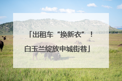 出租车“换新衣”！白玉兰绽放申城街巷