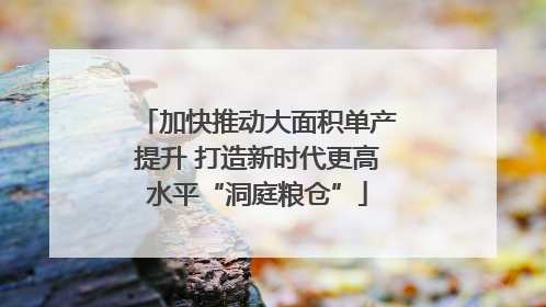 加快推动大面积单产提升 打造新时代更高水平“洞庭粮仓”