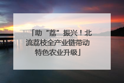 助“荔”振兴！北流荔枝全产业链带动特色农业升级