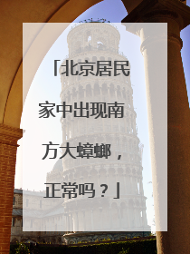北京居民家中出现南方大蟑螂，正常吗？