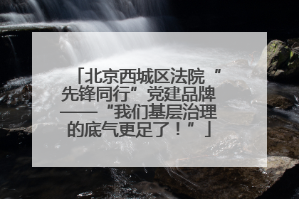 北京西城区法院“先锋同行”党建品牌——“我们基层治理的底气更足了！”