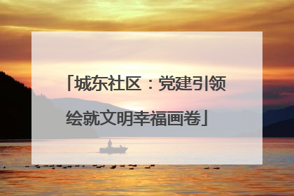 城东社区：党建引领绘就文明幸福画卷