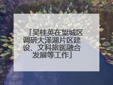 吴桂英在望城区调研大泽湖片区建设、文科旅医融合发展等工作