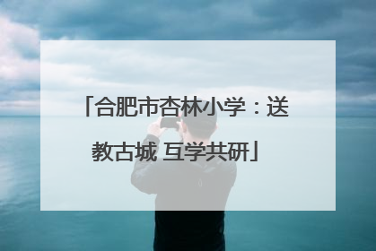 合肥市杏林小学：送教古城 互学共研