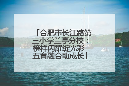 合肥市长江路第三小学兰亭分校：榜样闪耀绽光彩 五育融合助成长