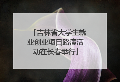 吉林省大学生就业创业项目路演活动在长春举行