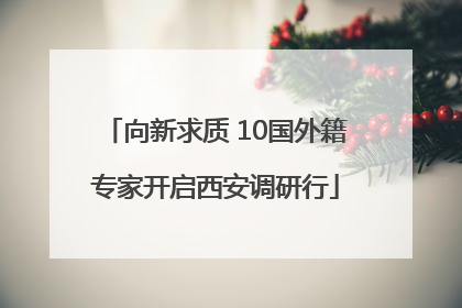 向新求质 10国外籍专家开启西安调研行