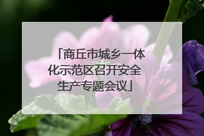 商丘市城乡一体化示范区召开安全生产专题会议