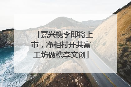 嘉兴槜李即将上市，净相村开共富工坊做槜李文创