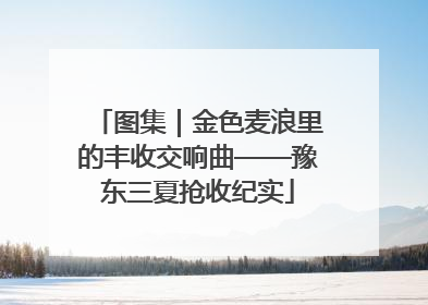 图集｜金色麦浪里的丰收交响曲——豫东三夏抢收纪实