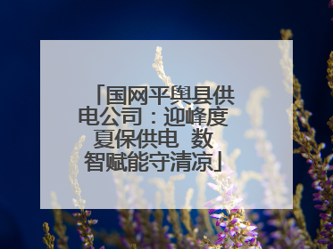 国网平舆县供电公司：迎峰度夏保供电  数智赋能守清凉