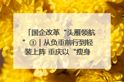 国企改革“头雁领航”③｜从负重前行到轻装上阵 重庆以“瘦身”谋“健体”