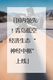 国内领先！青岛低空经济生态“神经中枢”上线