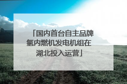 国内首台自主品牌氢内燃机发电机组在湖北投入运营