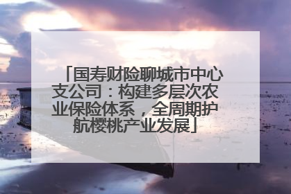 国寿财险聊城市中心支公司：构建多层次农业保险体系，全周期护航樱桃产业发展