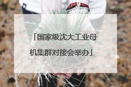 国家级沈大工业母机集群对接会举办