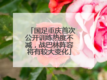 国足重庆首次公开训练热度不减，战巴林阵容将有较大变化