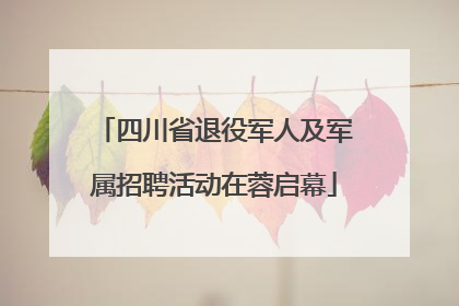 四川省退役军人及军属招聘活动在蓉启幕