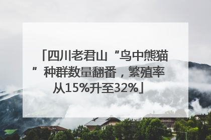 四川老君山“鸟中熊猫”种群数量翻番，繁殖率从15%升至32%