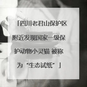 四川老君山保护区附近发现国家一级保护动物小灵猫 被称为“生态试纸”
