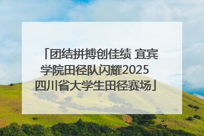 团结拼搏创佳绩 宜宾学院田径队闪耀2025四川省大学生田径赛场