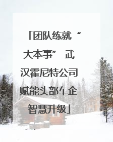 团队练就“大本事” 武汉霍尼特公司赋能头部车企智慧升级