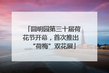 圆明园第三十届荷花节开幕，首次推出“荷梅”双花展