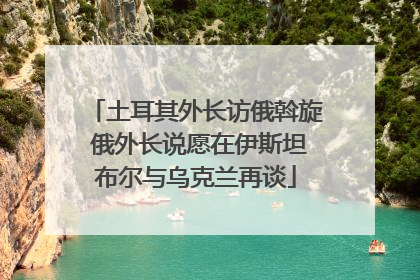 土耳其外长访俄斡旋 俄外长说愿在伊斯坦布尔与乌克兰再谈