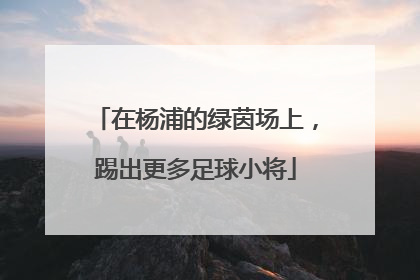 在杨浦的绿茵场上，踢出更多足球小将