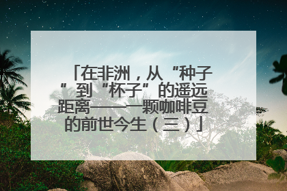 在非洲，从“种子”到“杯子”的遥远距离——一颗咖啡豆的前世今生（三）