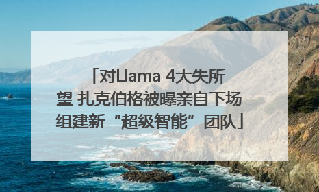 对Llama 4大失所望 扎克伯格被曝亲自下场组建新“超级智能”团队