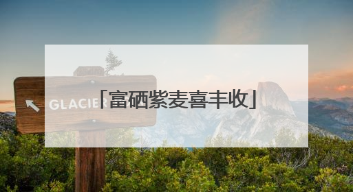 富硒紫麦喜丰收