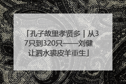 孔子故里孝贤多｜从37只到320只——刘健让泗水裘皮羊重生